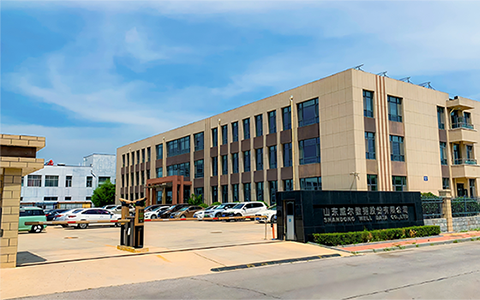 專業(yè)技術(shù)服務(wù)于人類智能社會(huì)